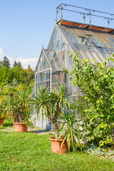 One side of a greenhouse building in a public park, with some plants and pots in front of it, in a clear summer day. Vertical. Tivoli Park, Ljubljana, Slovenia.