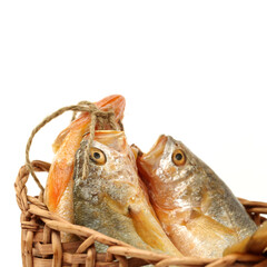 Yellow Croaker Fish On White background 