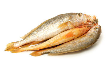 Yellow Croaker Fish On White background 