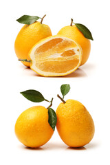Orange fruit on the white background