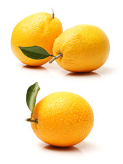 Orange fruit on the white background