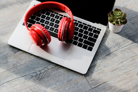 Closeup shot of big red music audio headphones on opened laptop computer with blank black screen monitor for advertisement ads copy space with green succulent plant pot on old wooden texture table