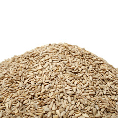 Peeled sunflower seeds pile on white background