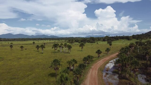 Aerial view of a farm road in the middle of the Amazon rainforest, Brazil. 4K.