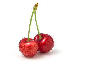 Two cherries covered with dew drops isolated on white background.