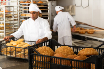 Fresh crispy bread in plastic crate in professional kitchen, working day at bakery