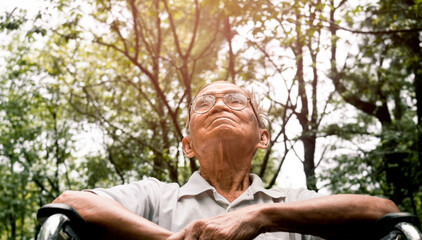 Happy senior man in a wheelchair enjoying nature in the park.