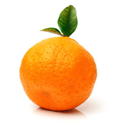  tangerine on a white background