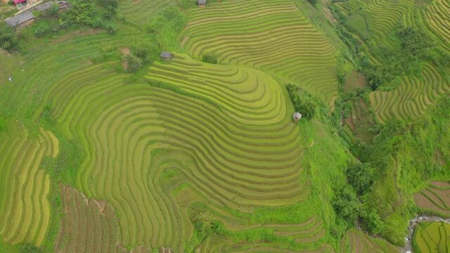 Aerial Panning Shot Of Beautiful Green Terrace Field On Hill, Drone Flying Over Rural Landscape - Mu Cang Chai, Vietnam