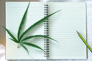 Cannabis leaf on book with pencil, top view, learning about cannabis leaf for medical treatment