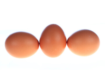 The egg is white background