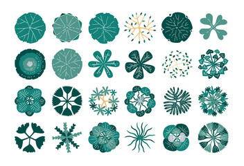 hand drawn top view tree. © ChattPan