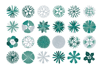 hand drawn top view tree. © ChattPan