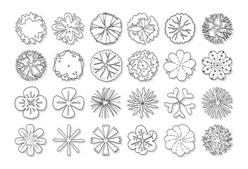 hand drawn top view tree. © ChattPan