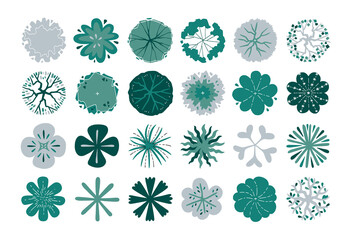 hand drawn top view tree. © ChattPan