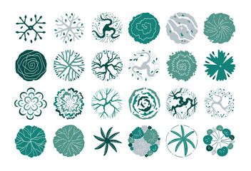 hand drawn top view tree. © ChattPan