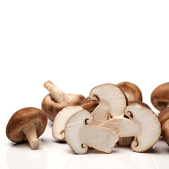 Shiitake mushroom on the White background 
