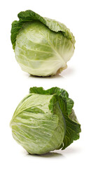 cabbage on a white background