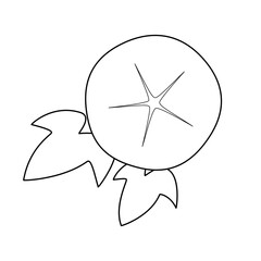 朝顔の花と葉の線画イラスト