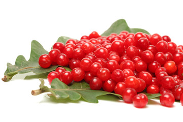 cherries on white background 