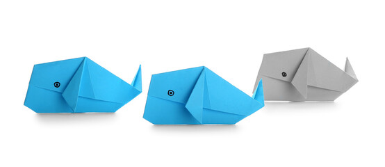 Origami whales on white background. Concept of uniqueness