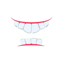 Upper teeth, lower row of teeth, gums, oral cavity. Vector illustration, flat cartoon color minimal design, isolated on white background. Concept: strong and healthy teeth and gums.