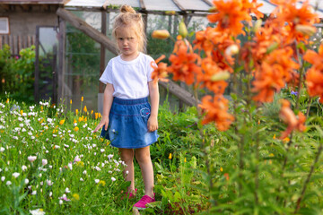 little girl stands in meadow of flowers, against background of greenhouse. Carefree childhood