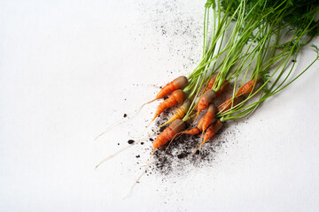 carrots with soil and green leaves on white