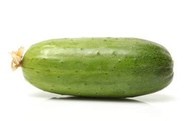 Green cucumber on the white background
