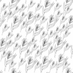 Pattern with protea, tropical flower. African protea. hand drawing in pencil. Botanical flower, leaves, floral pattern for textile decor and design, wallpaper. botanical color illustrations. stock  - 441516306