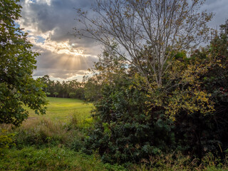 Dramatic Afternoon Light over Parkland