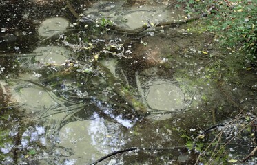 springs of spring water in the springs that give life to the river