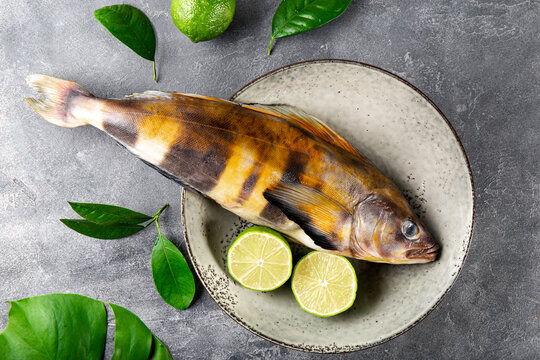  Raw fish sea bass or lingcod and seasonings for cooking it on a gray background top view