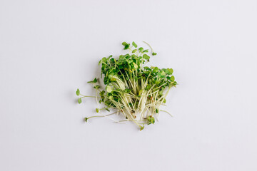 Fresh and healthy arugula microgreens isolated on white background, Top view. Flat lay