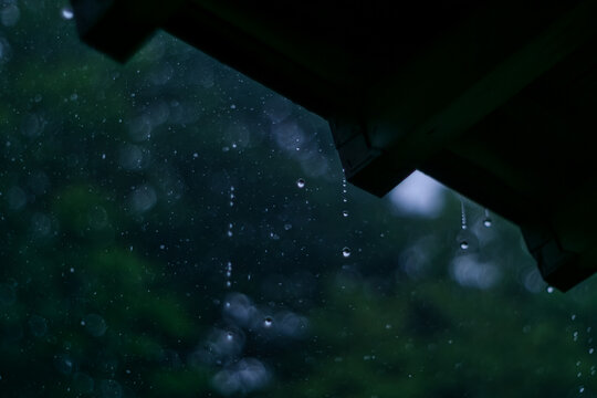 「雨宿り」の写真素材 | 1,603件の無料イラスト画像 | Adobe Stock