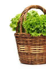 Fototapeta premium Fresh lettuce on white background