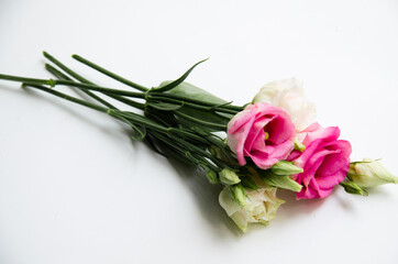 Elegant bouquet of eustoma flowers - stock photo