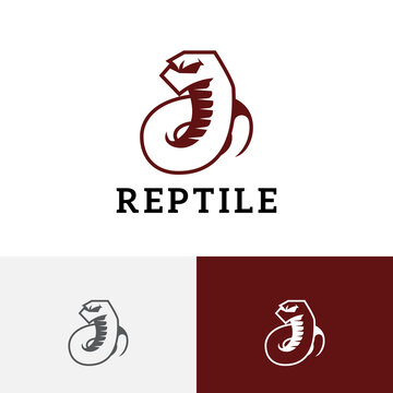 White Snake Serpent Reptile Rattlesnake Venomous Wild Animal Logo