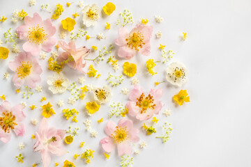 Floral background. Flat lay, top view. Beautiful creative layout in pastel colors