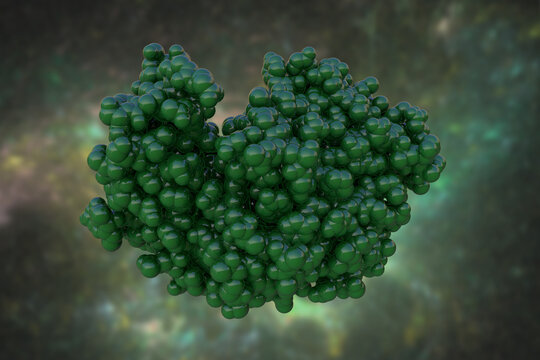 Space-filling molecular model of human pepsin 3b, one of the enzymes that digest food proteins into peptides. Rendering based on protein data bank. Scientific background. 3d illustration