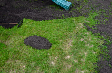 repair of damaged lawns after installation of automatic irrigation. bringing piles of soil and...