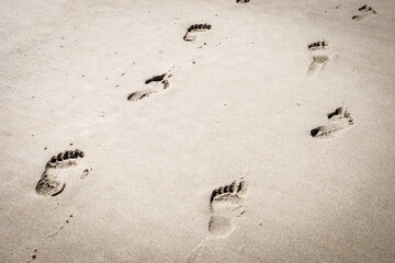adult barefoot footsteps on a sandy beach