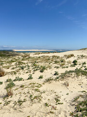 Plage du Cap Ferret et dune du Pilat, Gironde