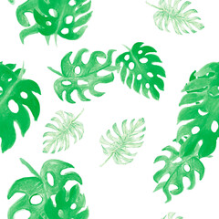 Fototapeta na wymiar Natural Monstera Painting. Green Seamless Print. Pattern Texture. Watercolor Leaf. Tropical Palm. Floral Print. Summer Wallpaper. Botanical Palm.