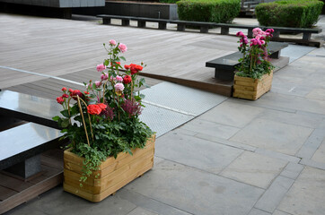 flower pot with roses at the wooden entrance to the terrace of the restaurant. mobile seasonal...
