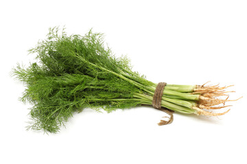 Fennel bunch on white background