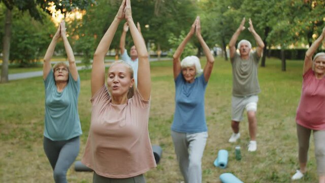Tilt up shot of group of senior men and women in sportswear practicing yoga outdoors in park with female coach