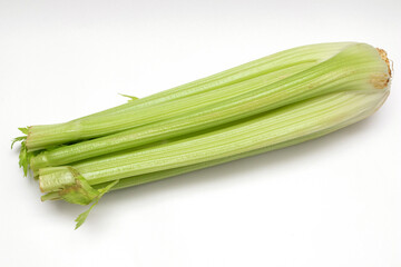 Fresh celery stalk isolated on white background