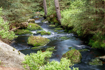 Fichtelgebirge Weissmainpfad, frühsommerlicher Gebirgsbach