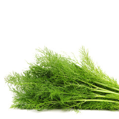 Fennel bunch on white background